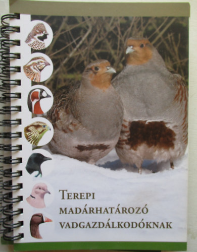 Br Istvn - Terepi madrhatroz vadgazdlkodknak