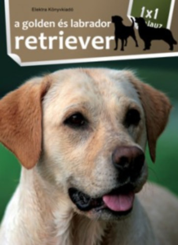 A golden és labrador retriever