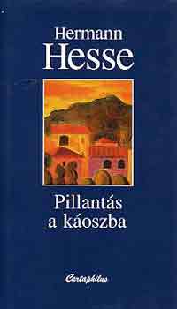 Hermann Hesse - Pillants a koszba