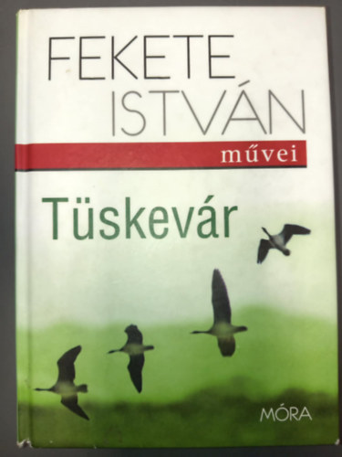 Szerk.: Dka Pter, Budai Tibor  Fekete Istvn (illusztrcik) - Tskevr - Budai Tibor illusztrciival (Fekete Istvn mvei)