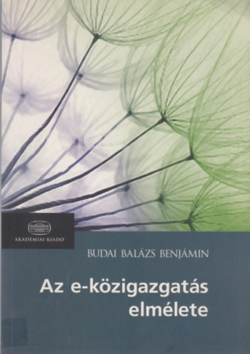 Budai Balzs Benjmin - Az e-kzigazgats elmlete