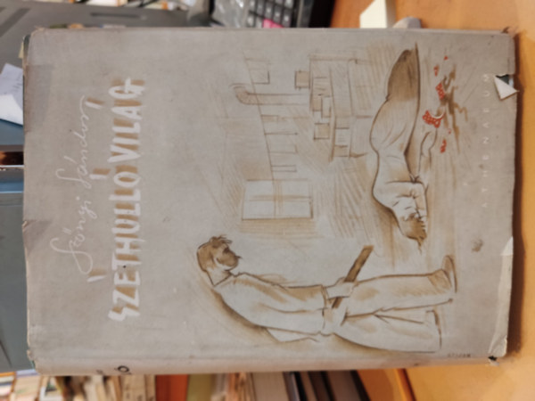 Sz�nyi S�ndor - Sz�thull� vil�g