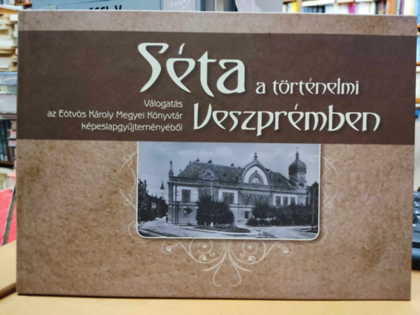 Szabóné Vörös Györgyi Faa Judit - Séta a történelmi Veszprémben