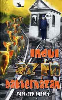 Sringer Kroly - Indul az n bakterhzam