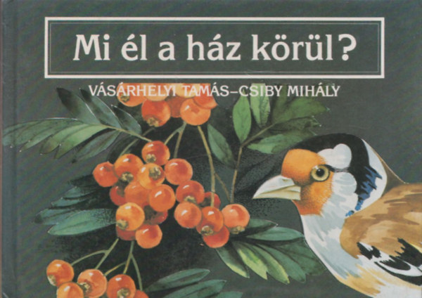 Vsrhelyi-Csiby - Mi l a hz krl?