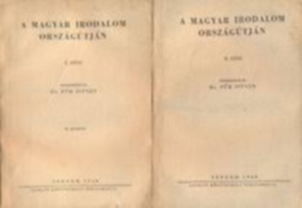 Fr Istvn Dr.  (szerk.) - A magyar irodalom orszgtjn I-II.