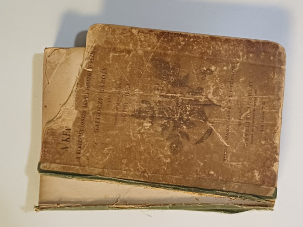 Galg�czi K�roly; K�thy B�la - A kert�szet k�zik�nyve (A kert�szet �sszes �gaira vonatkoz� k�zik�nyv)