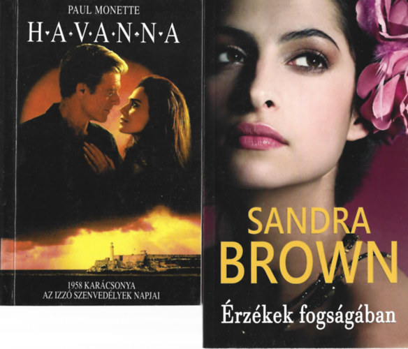 2 db knyv, Sandra Brown: rzkek fogsgban, Paul Monette: HAVANNA