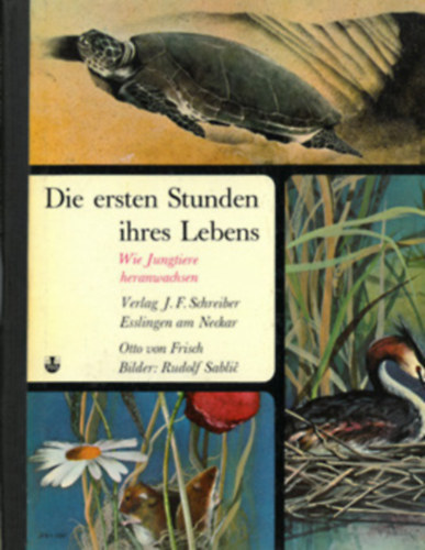 Otto von Frisch Rudolf Sabli  (Sablic) (illus.) - Die Ersten Stunden ihres Lebens: Wie Jungtiere heranwachsen