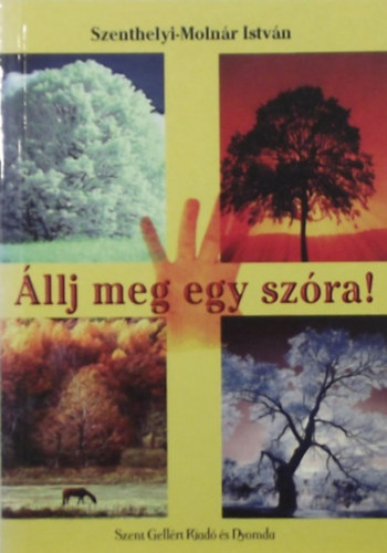 Szenthelyi-Molnár István - Állj meg egy szóra!