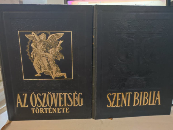 Kldi Gyrgy  Palladis Rt. (ford) - Szent Biblia: jszvetsgi szentrs + Az szvetsg trtnete