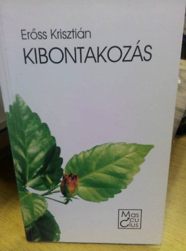 Er�ss Kriszti�n - Kibontakoz�s