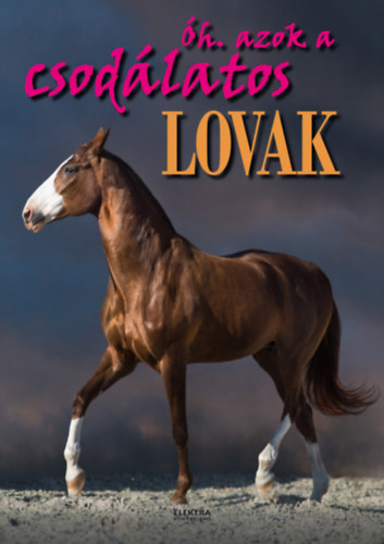 Bernáth István - Óh. azok a csodálatos lovak