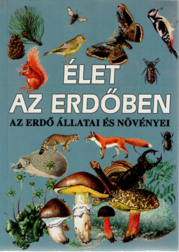 let az erdben - Az erd llatai s nvnyei