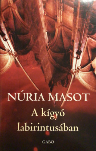 Nria Masot - A kgy labirintusban