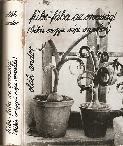 Oláh Andor - "Fűbe-fába az orvosság!" - Békés megyei népi orvoslás I. kötet: A mirigy hét lánya, hét fia és hetvenhét unokája (A népi orvoslás értelmezése, jellemzése)