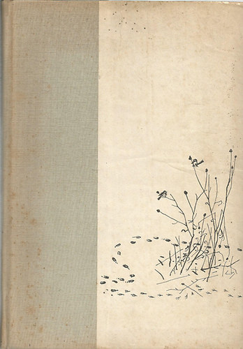 Brsony Istvn - Erdn, mezn