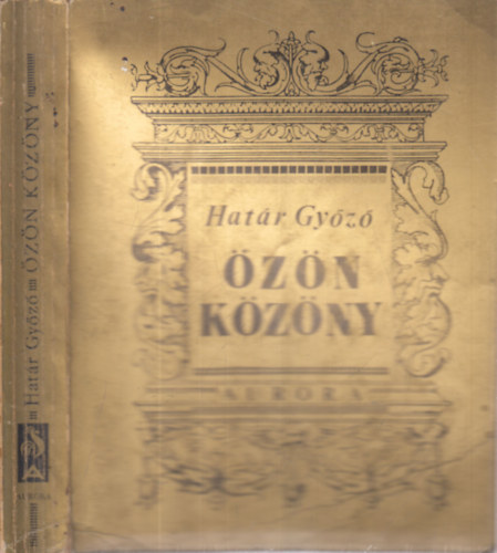 Hatr Gyz - zn kzny (dediklt)