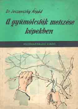 Jeszenszky rpd - A gymlcsfk metszse kpekben