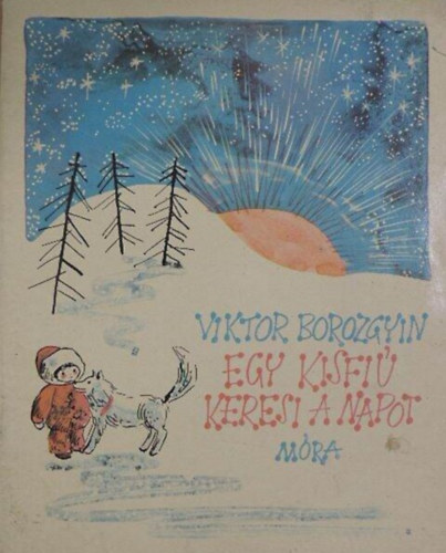 Viktor Borozgyin - GRAFIKUS Zsoldos Vera - Egy kisfi� keresi a napot