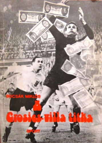 Bocsk Mikls - A Grosics-villa titka