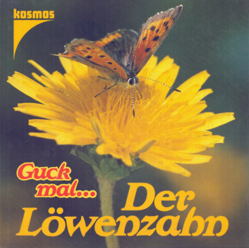 Der L�wenzahn (A pitypang)