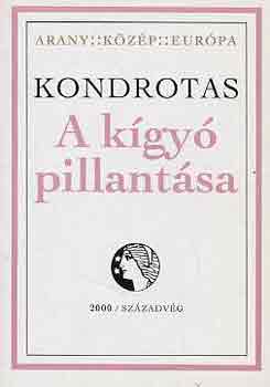 Saulius Tomas Kondrotas - A kgy pillantsa