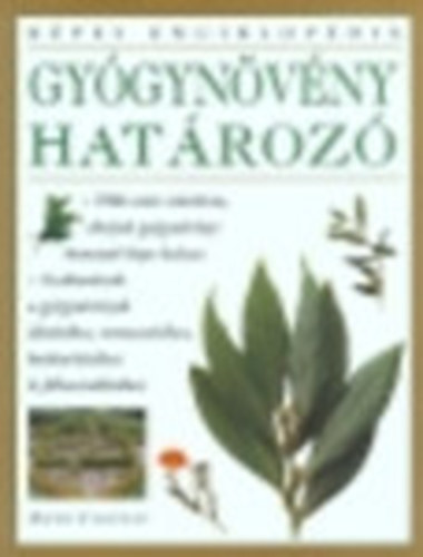 Andi Clevely - Gy�gyn�v�ny-hat�roz�