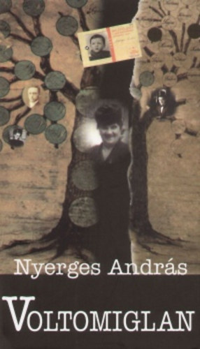 Nyerges András - Voltomiglan