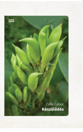 Zsille G�bor - K�sz�l�d�s