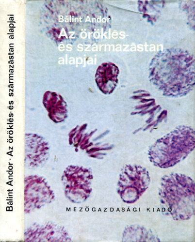 Blint Andor - Az rkls- s szrmazstan alapjai (Negyedik kiads - 206 brval)