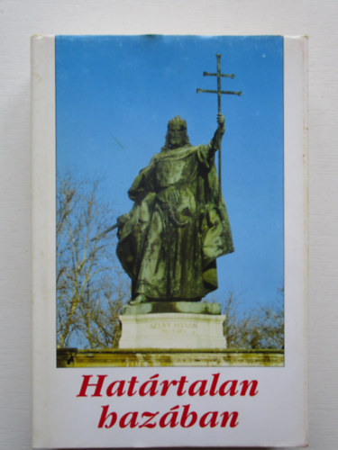 Dávid Gyula- Veress Zoltán (szerk) - Határtalan hazában (Ezredfordulós töprengések)