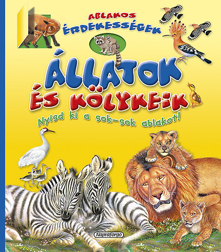 Ablakos rdekessgek - llatok s klykeik