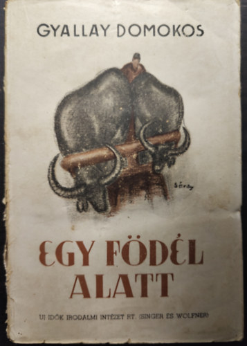 Gyallay Domokos - Egy f�d�l alatt