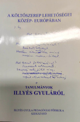 A k�lt�szerep  lehet�s�gei K�z�p-Eur�p�ban