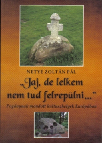 Netye Zoltán Pál - "Jaj, de lelkem nem tud felrepülni..."