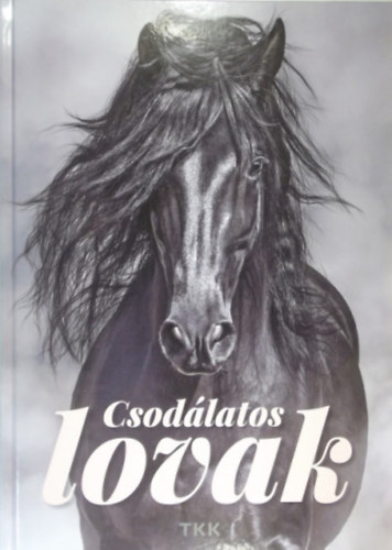 Konyhs Istvn - A csodlatos lovak