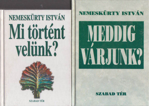 Nemesk�rty Istv�n - Mi t�rt�nt vel�nk? + Meddig v�rjunk? (2 m�)