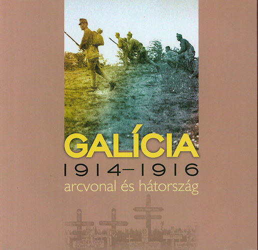 Sebestyn Mihly - Galcia - 1914-1916 arcvonal s htorszg