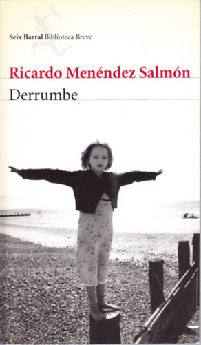 Ricardo Men�ndez Salm�n - Derrumbe