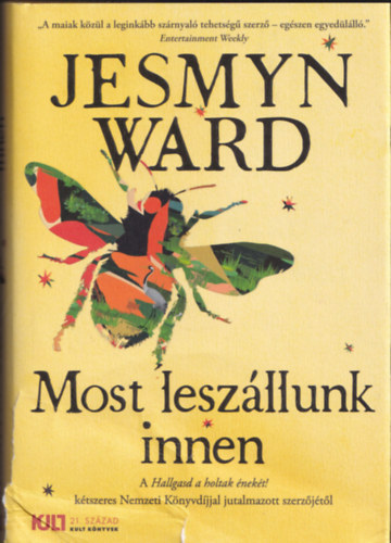 Jesmyn Ward - Most lesz�llunk innen