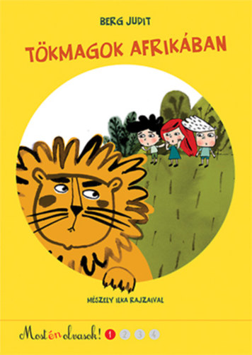 Berg Judit - Tökmagok Afrikában