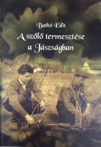 Bath Edit - A szl termesztse a Jszsgban