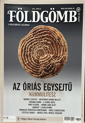 Dr. Nagy Bal�zs - A F�ldg�mb 2016. �prilis