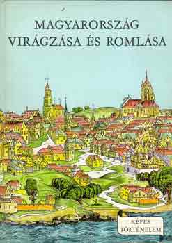 Varga Domokos - Magyarország virágzása és romlása (Képes történelem)