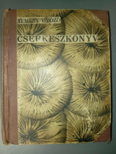 Temesy Gy�z� vit�z - Cserk�szk�nyv (A cserk�sz�letre k�sz�l� magyar fi�k sz�m�ra)