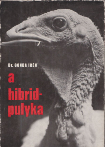Dr. Gonda Irn - A hibridpulyka