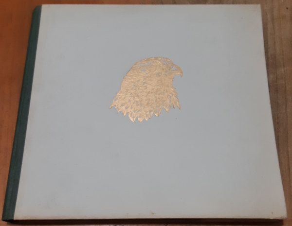 Bástyai Lóránt - Vadmadárból-vadászmadár