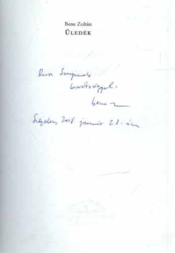 Bene Zoltán - Üledék- NEMzedékregény
