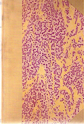 Harsányi Kálmán - A kristálynézők